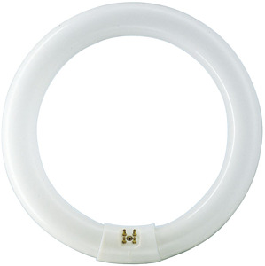 ŚWIETLÓWKA KOŁOWA 22W/865 G10G TLE  - 8727900840537 - PHILIPS ŹRÓDŁA