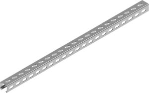 Ceownik wzmocniony CWP30H30/2 1,5 mm - 613620 - BAKS