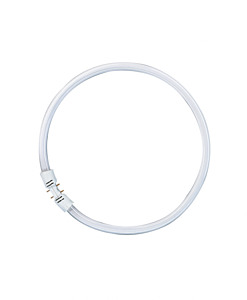 ŚWIETLÓWKA KOŁOWA 55W/21-840 2GX13 FC - 4050300528564 - LEDVANCE ( OSRAM)