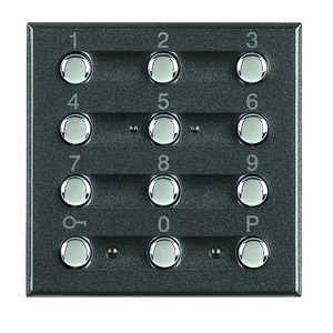 KLAWIATURA ALARMOWA 2M ANTRACYT AXOLUTE - HS4606 - LEGRAND