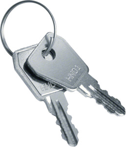 KLUCZ ZAPASOWY DLA VZ302N STANDARD VOLTA - VZ304N - HAGER - BERKER