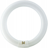 ŚWIETLÓWKA KOŁOWA 22W/865 G10G TLE  - 8727900840537 - PHILIPS ŹRÓDŁA