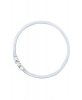 ŚWIETLÓWKA KOŁOWA 55W/21-840 2GX13 FC - 4050300528564 - LEDVANCE ( OSRAM)