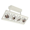 OPRAWA SUFITOWA 4XHAL-R111-50W TR 230/12V BIAŁY QCX-500  - 55887500 - PHILIPS OPRAWY
