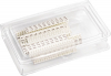 PASKI Z OPISAMI L1 L2 L3 N PE(25 SZT.) - KWL004 - HAGER - BERKER